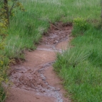 DSC_6690.jpg