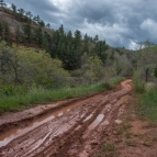 DSC_6723.jpg