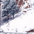 nature-4
