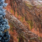 scenery-7