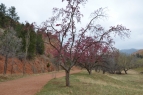 dmd_6976